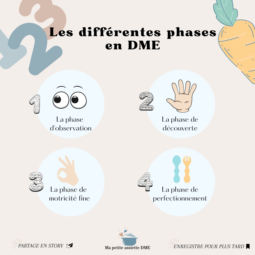 Les différentes étapes en DME Des mains à la fourchette