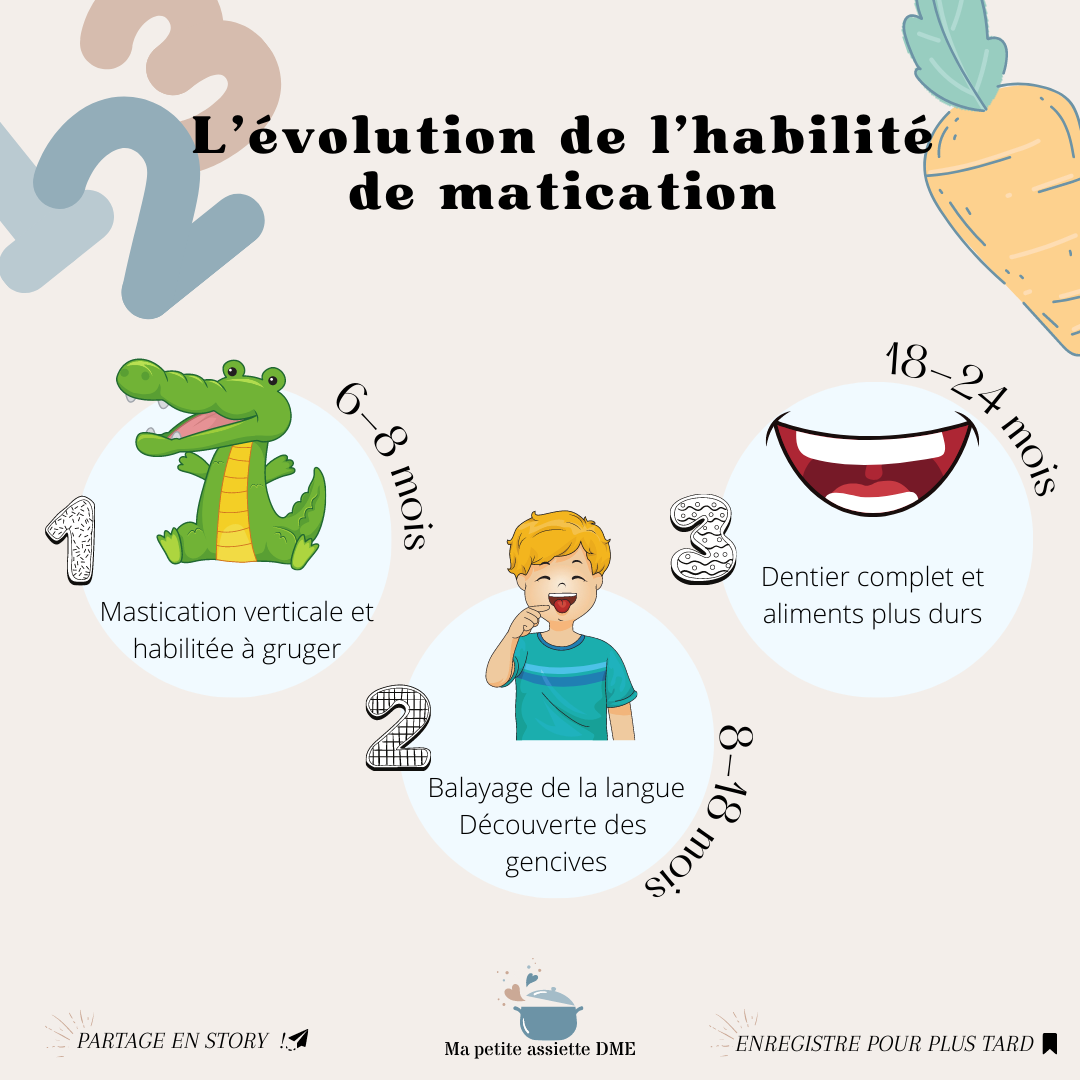 Les différentes étapes en DME Des mains à la fourchette