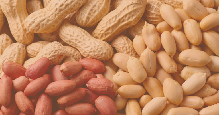 Introduire la cacahuète chez bébé : entre peur, précaution et prévention